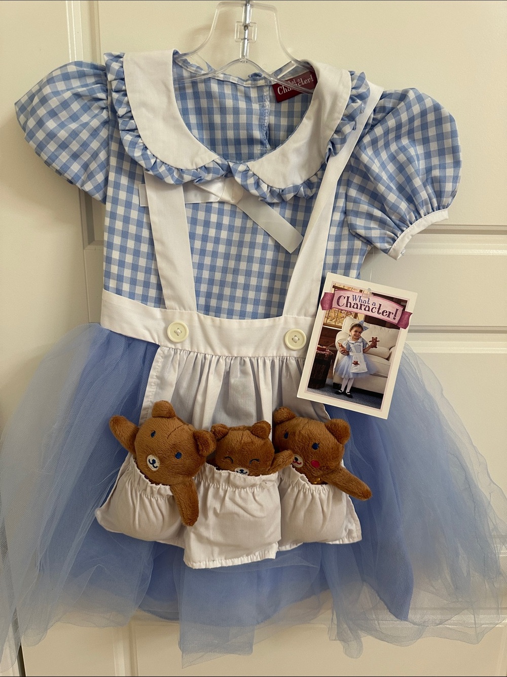 Child's Light Blue Gingham Tulle Bear Pocket Costume Dress 4T